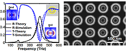 Scattering dark states in multi resonant concentric nanoantennas TOC image